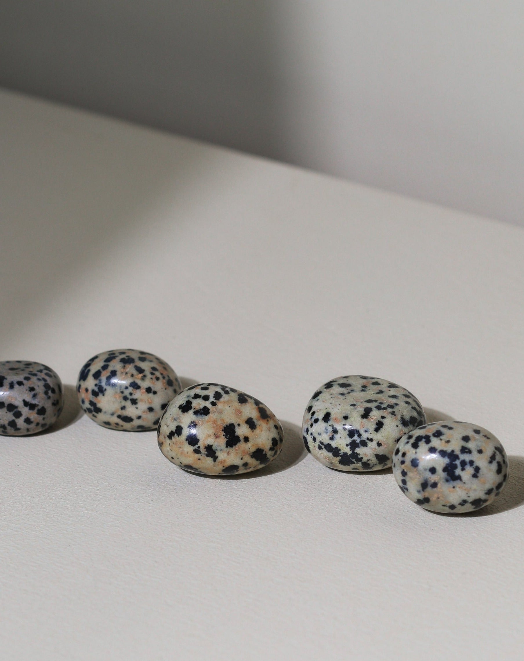 Dalmatinerjaspis Taschenstein