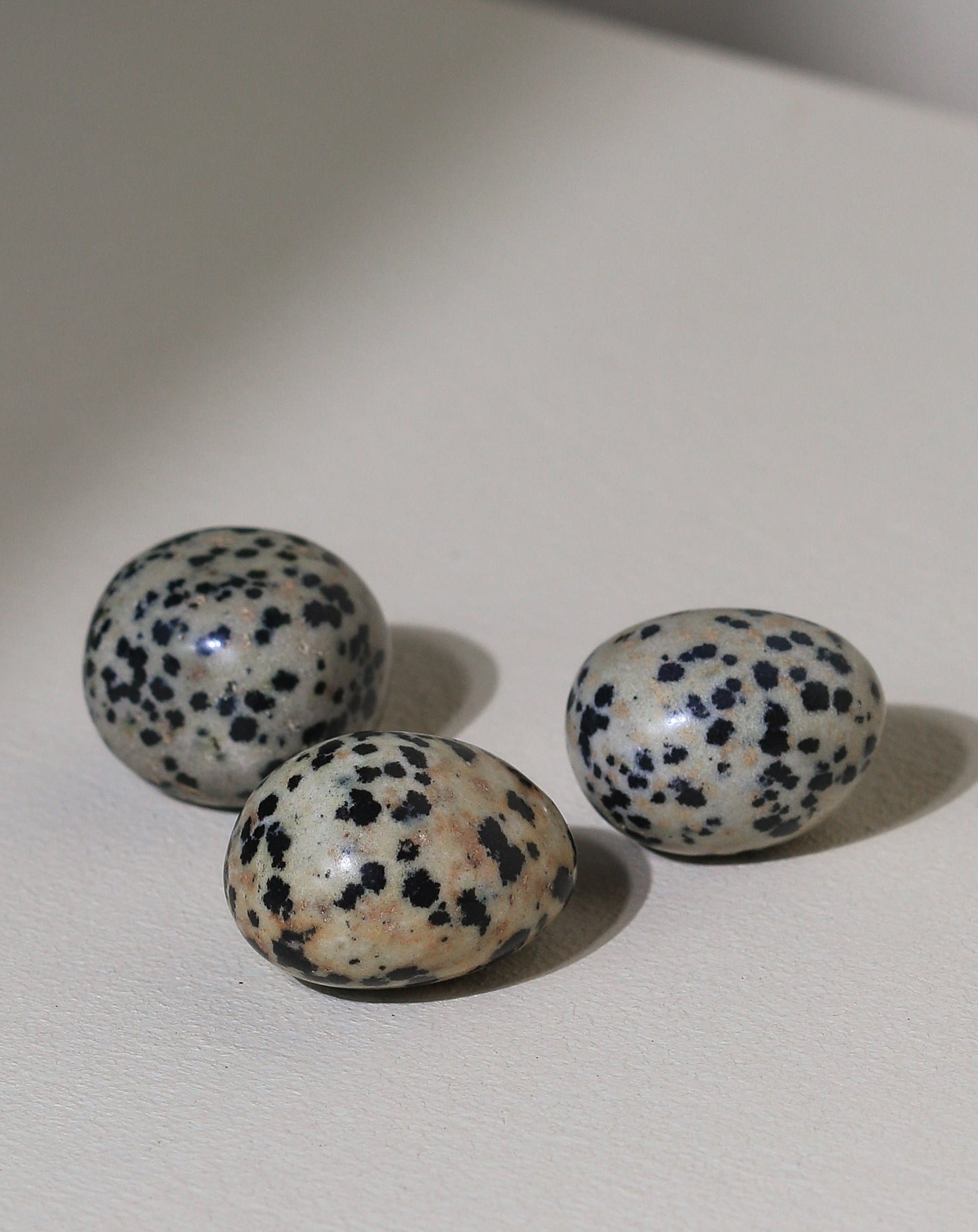 Dalmatian Jasper Pocket Stone