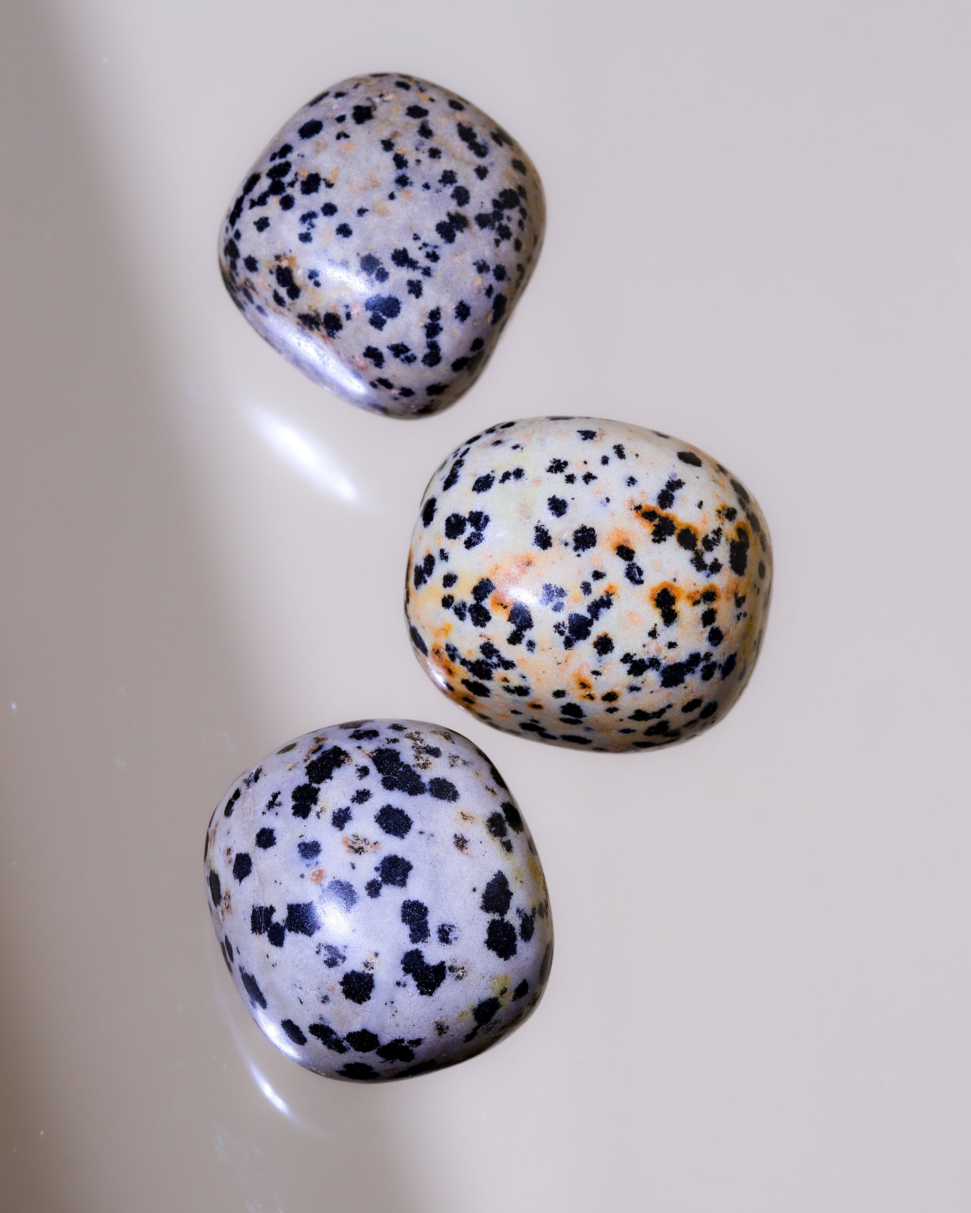 Dalmatian Jasper Pocket Stone