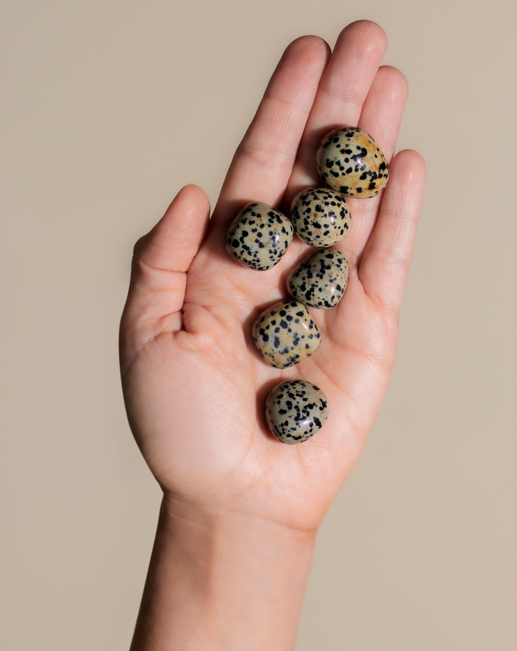 Dalmatian Jasper Pocket Stone