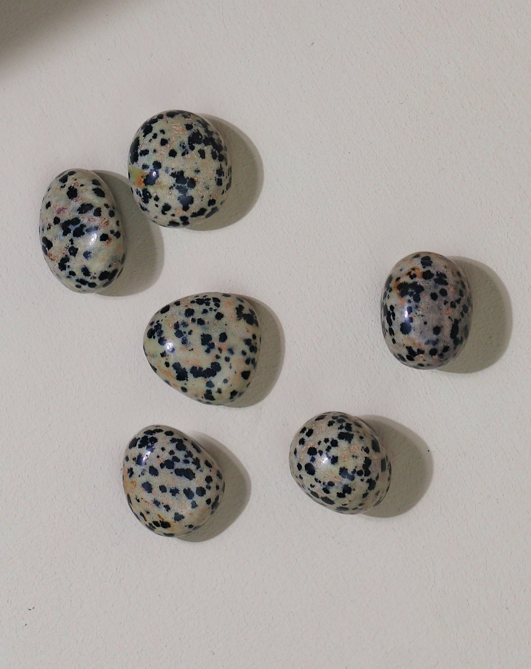 Dalmatian Jasper Pocket Stone