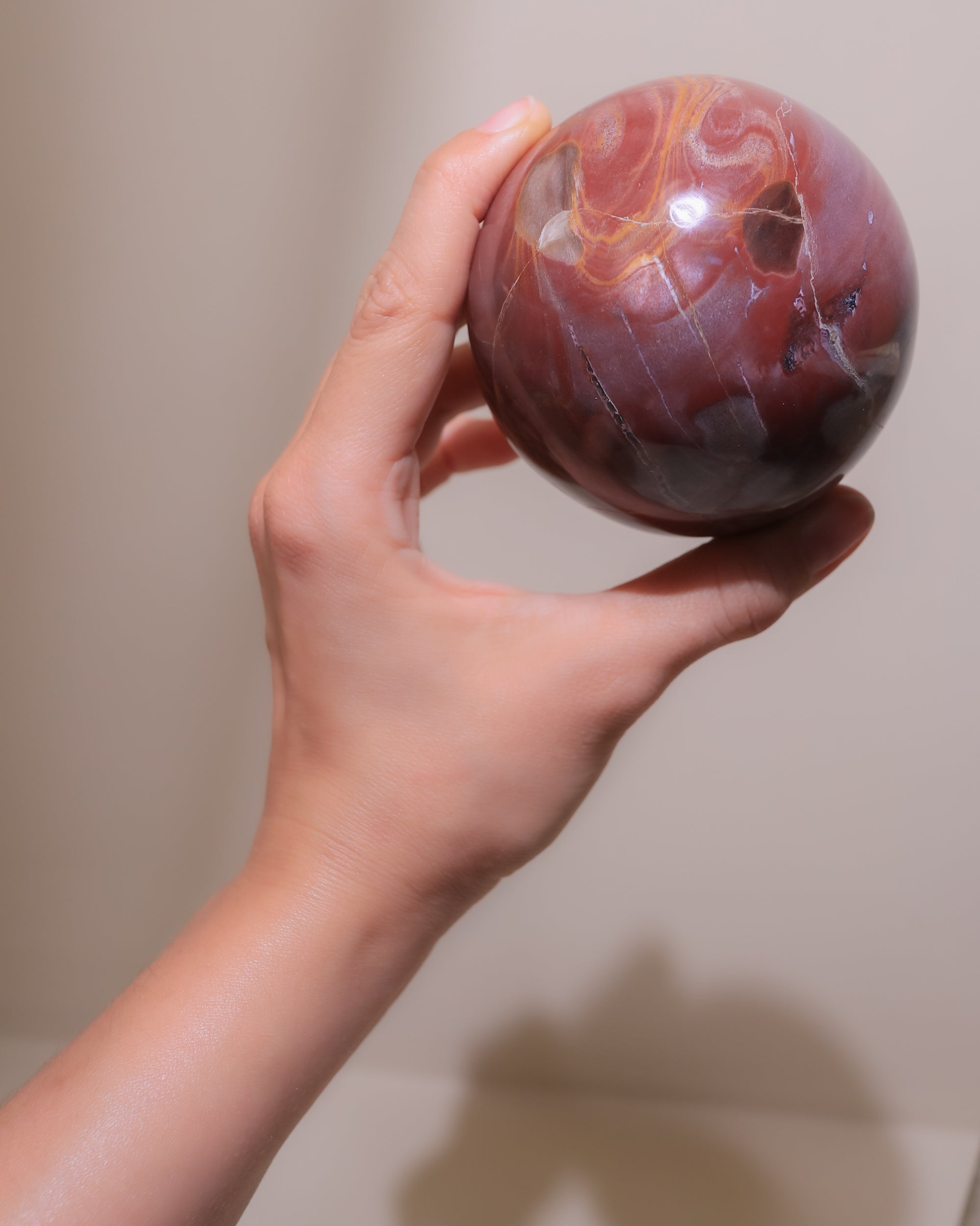 Versteinertes Holz Kugel, Einzelstück