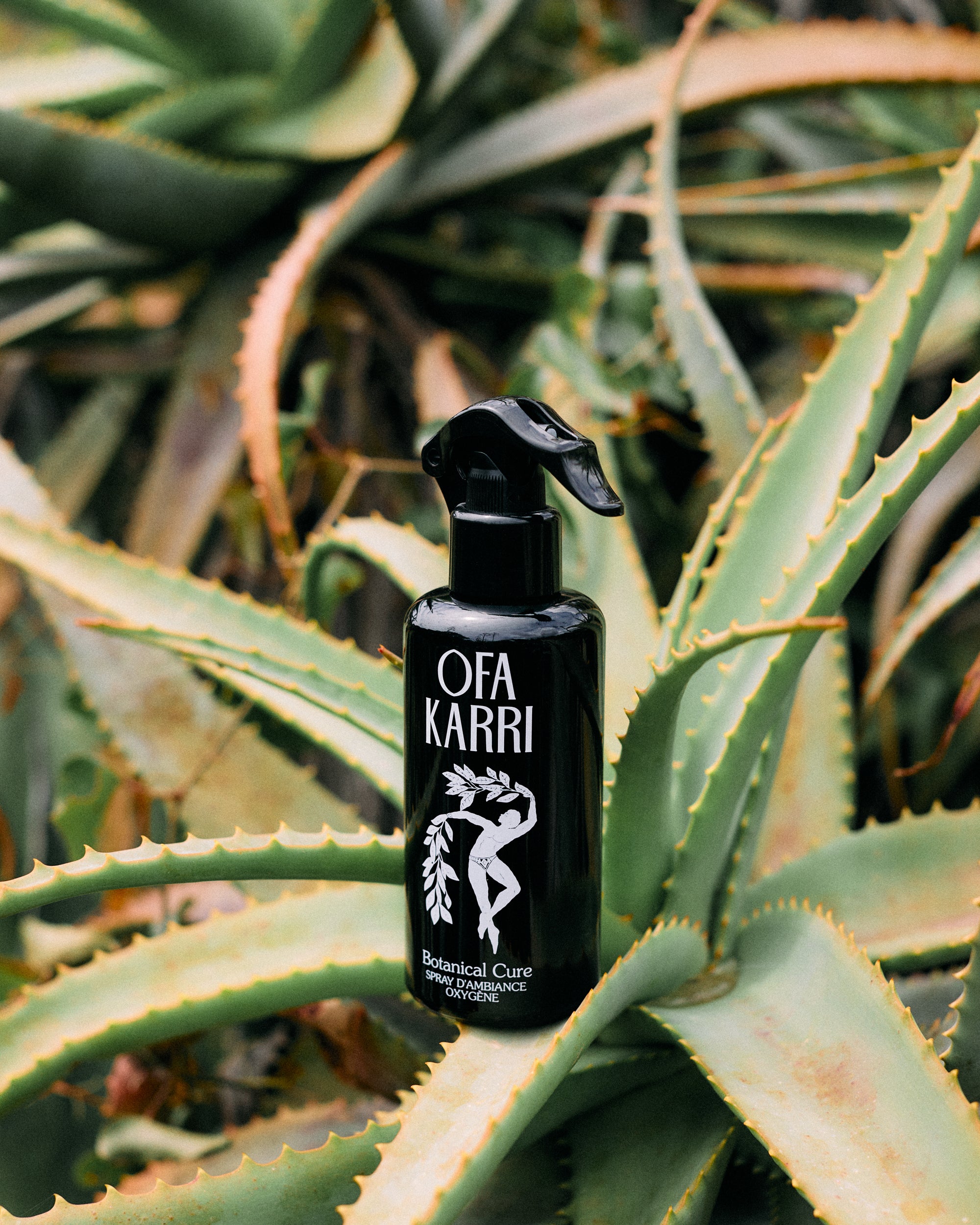 Botanical Cure Raumspray von Ofa Karri